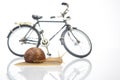 Snail and bicycle model on a white background. The speed of movement of vehicles in comparison