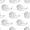 Snail black and white colors. Invertebrates mollusks. Wild life Zen tangle seamless pattern.