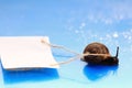 Snail carries a letter Royalty Free Stock Photo