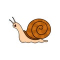 Snail cartoon on white background. Slow pace concept Royalty Free Stock Photo