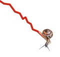 Snail on chart currency Royalty Free Stock Photo