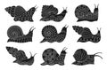 Snail child doodle engraving set spiral snails mollusk with engraved outline ornament vector