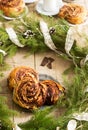 Snail chocolate muffins served with coffee on the background of a wreath of fir branches and cones. Rustic style Royalty Free Stock Photo