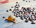 Snail and coffee beans on the wooden table