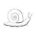 Snail contour doodling hand drawing, black silhouette, isolated, white background. Royalty Free Stock Photo