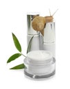 Snail, cosmetic products and green leaves isolated in white Royalty Free Stock Photo