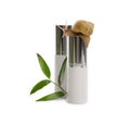 Snail, cosmetic products and green leaves isolated in white