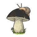 snail crawling on mushroom sketch vector Royalty Free Stock Photo