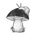 Snail crawling on mushroom sketch vector Royalty Free Stock Photo