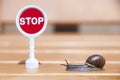 A snail crawling to the left on a wooden bench in the direction of the red stop sign. A slug and a toy stop sign