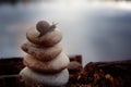 The snail crawls along the stones stacked in the pyramid on the lake shore, autumn Royalty Free Stock Photo
