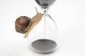 Snail crawls on the hourglass. time and stability. the transience of time and slowness in choosing success. the cyclical