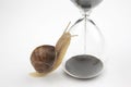 Snail crawls on the hourglass. time and stability. the transience of time and slowness in choosing success. the cyclical