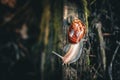 A Snail Crawls Over Wood