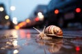 a snail crossing a busy sidewalk