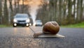 Snail crossing a road with cars driving