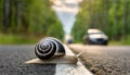 Snail crossing a road with cars driving