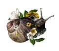 Snail decorated with flowers and leaves crawling top view Royalty Free Stock Photo