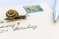 Snail on envelope Royalty Free Stock Photo
