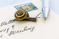 Snail on envelope Royalty Free Stock Photo