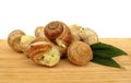 Snail escargot prepared as food