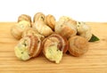 Snail escargot prepared as food Royalty Free Stock Photo