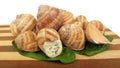 Snail escargot prepared as food Royalty Free Stock Photo