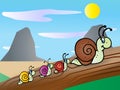 Snail family