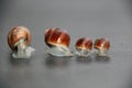 Snail family on a black background in line Royalty Free Stock Photo