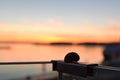 Snail on the fence with sunset backgruound