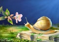 Snail and flower Royalty Free Stock Photo