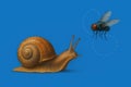 Snail and fly on a blue background. Space for text. Royalty Free Stock Photo
