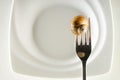 Snail on a fork against a white plate Royalty Free Stock Photo