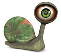 Snail (Green Color Eye)