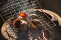 countryside food snail grill Royalty Free Stock Photo