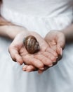 Snail on the hands of a girl in a white dress
