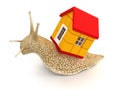 Snail with house (clipping path included)