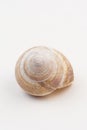 Snail house Royalty Free Stock Photo