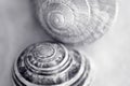 Snail house , shallow depth of field photo Royalty Free Stock Photo