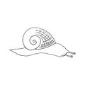 Snail icon. hand drawn doodle style. vector, minimalism, monochrome, sketch. clam, shell, slow Royalty Free Stock Photo