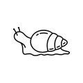 Snail icon. Linear logo of Achatina. Black simple illustration of big mollusk, agricultural pest. Contour isolated vector on white