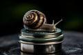 Snail-Inspired Natural Beauty: Skincare Balm