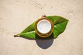 Snail and a jar of skin cream on green leaf on concrete background