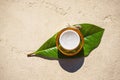 Snail and a jar of skin cream on green leaf on concrete background