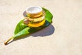 Snail and a jar of skin cream on green leaf on concrete background. Snail slime.