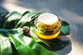 Snail and a jar of skin cream on green monstera leaf on concrete background.