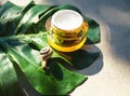 Snail and a jar of skin cream on green monstera leaf on concrete background.