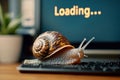 Snail on keyboard representing slow internet speed, loading issues, and digital frustration Royalty Free Stock Photo
