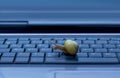 Snail on keyboard Royalty Free Stock Photo