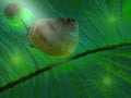 Snail at a light show party on a green leaf Royalty Free Stock Photo